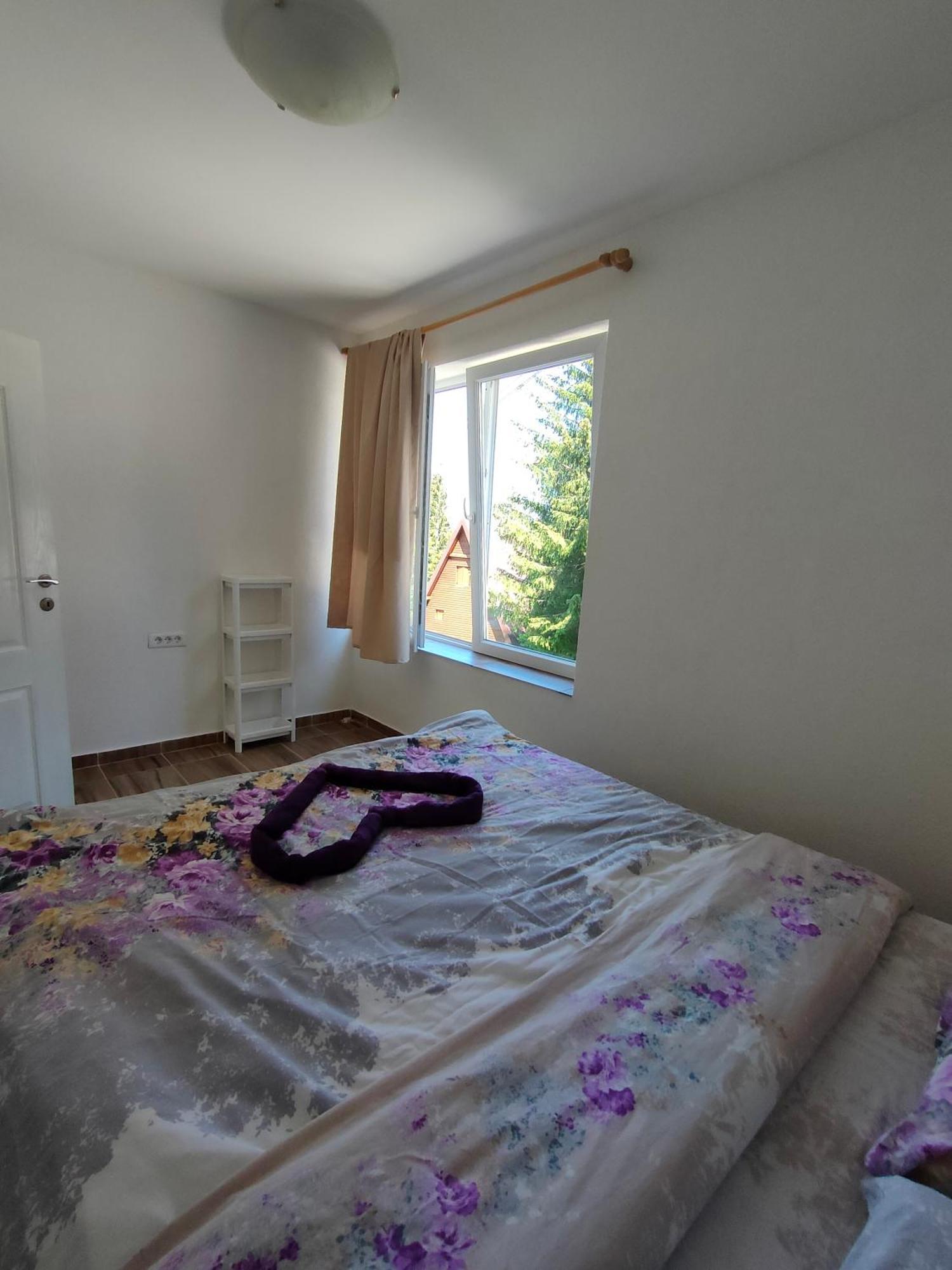 Apartment Durmitor Zabljak  Room photo